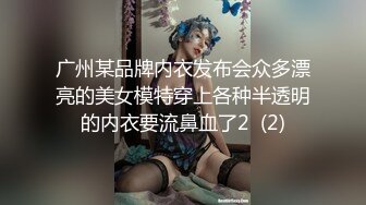 广州某品牌内衣发布会众多漂亮的美女模特穿上各种半透明的内衣要流鼻血了2  (2)