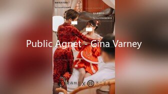 Public Agnet - Gina Varney