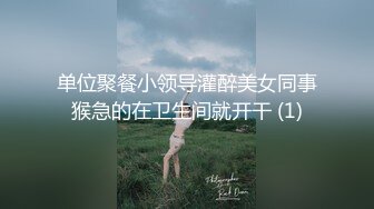 单位聚餐小领导灌醉美女同事猴急的在卫生间就开干 (1)