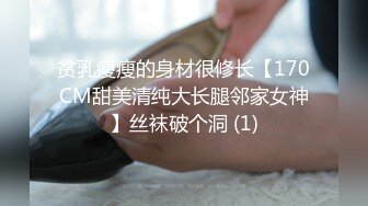 贫乳瘦瘦的身材很修长【170CM甜美清纯大长腿邻家女神】丝袜破个洞 (1)